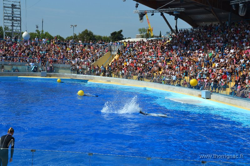 Marineland aout 2014 43.JPG - Marineland - Parc d'attractions aquatiques - Antibes - Août 2014